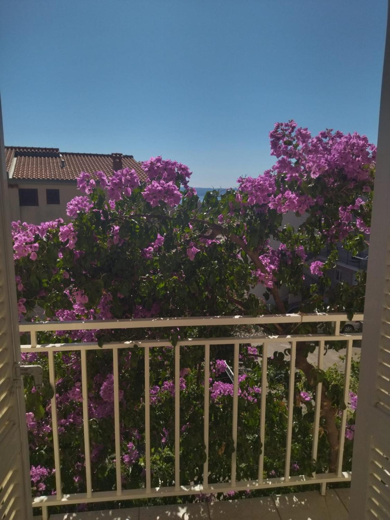 Apartmani Makarská Exteriér fotografie